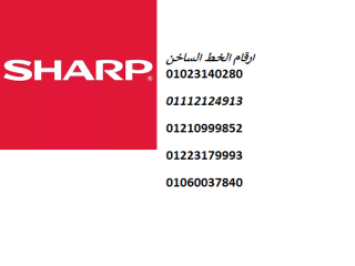 hl-aaatal-dyb-fryzr-sharb-alaarb-algyz-01096922100