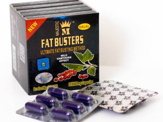 fat-bastrz-lltkhsys-fat-busters