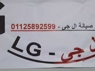 صيانة ثلاجة LG المحلة الكبري 01092279973