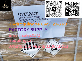 High Quality Hydroquinone CAS 123-31-9 in Stock with Good Price
