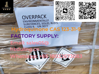 high-quality-hydroquinone-cas-123-31-9-in-stock-with-good-price