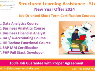 Top 25 Tally Training Courses in Delhi by Structured Learning Assistance - SLA GST and Accounting Institute, [100% Job, Update New Skill in 2024]