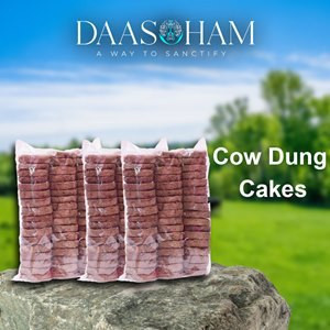 cow-poop-cake-in-andhra-pradesh-big-0