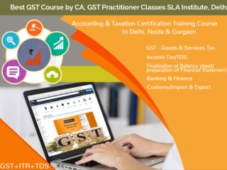 gst-certification-course-in-delhi-110017-gst-e-filing-gst-return-100-job-placement-free-sap-fico-training-in-noida-best-gst-accounting