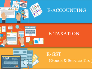 Accounting Course in Delhi 110017, after 12th and Graduation by SLA. GST and Accounting, Taxation and Tally Prime Institute in Delhi, Noida,
