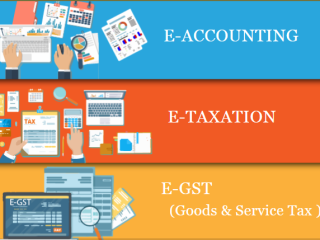 accounting-course-in-delhi-110017-after-12th-and-graduation-by-sla-gst-and-accounting-taxation-and-tally-prime-institute-in-delhi-noida