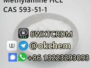 Bulk supply low price Methylamine HCL CAS 593-51-1 Telegram okchem