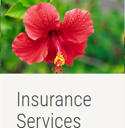 health-insurance-in-hilo-hawaii-big-0