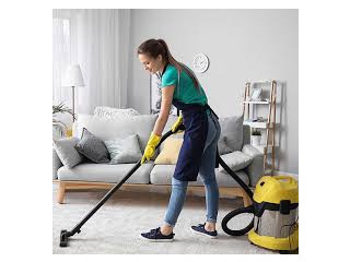 Miami Beach Area Rug Cleaning Specialists