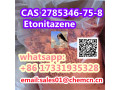 cas-2785346-75-8-etonitazene-small-0