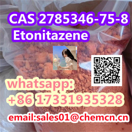 cas-2785346-75-8-etonitazene-big-0