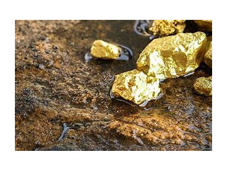 We are looking for partners who will help us sell our gold