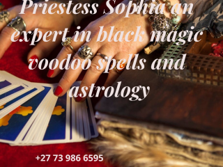 best-vedic-astrologer-and-voodoo-expert